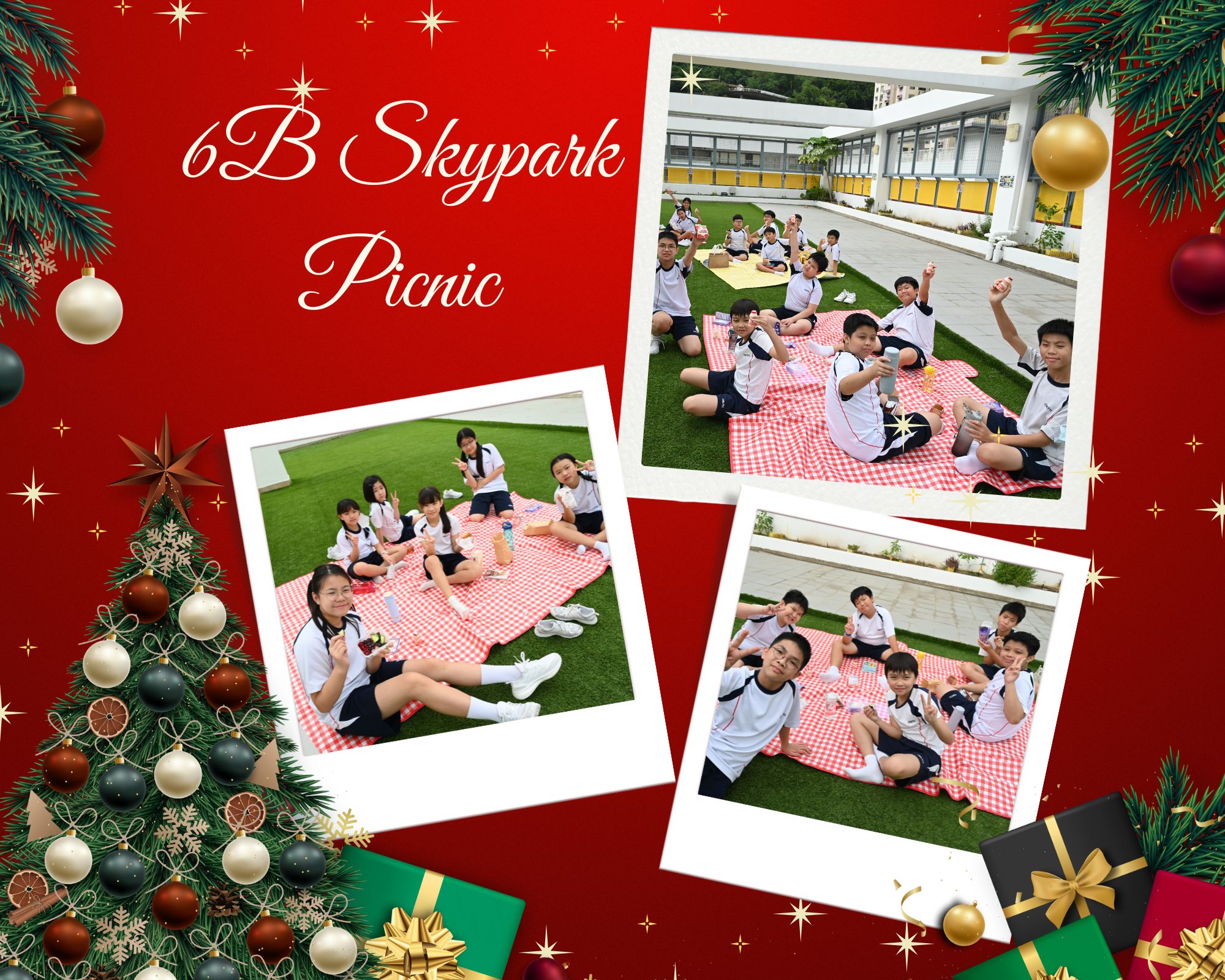 6B Skypark Picnic